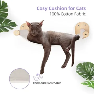 BEBOBLY Cat Wall Shelves and Hammock Set for Cats