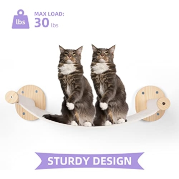 BEBOBLY Cat Wall Shelves and Hammock Set for Cats