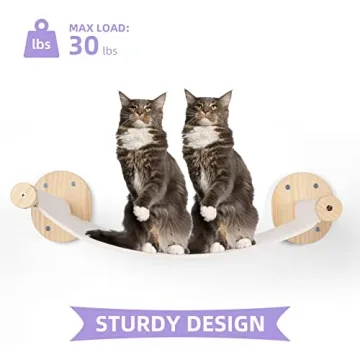 BEBOBLY Cat Wall Shelves and Hammock Set for Cats