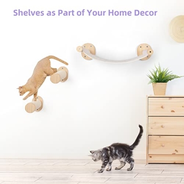 BEBOBLY Cat Wall Shelves and Hammock Set for Cats