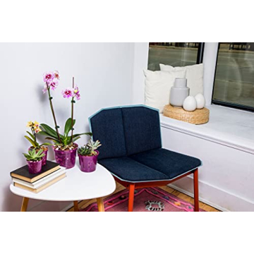 Premium rePotme Orchid Pot Assortment - 8 Slotted Clear Pots