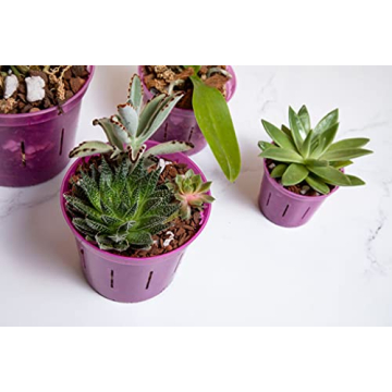 Premium rePotme Orchid Pot Assortment - 8 Slotted Clear Pots