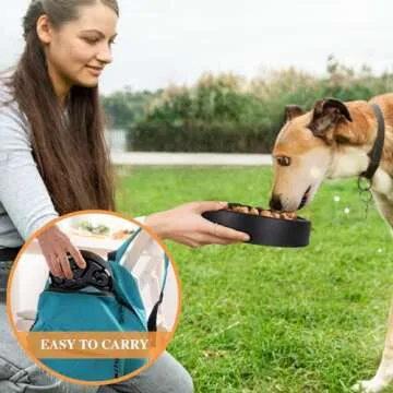 Pet Slow Feeder Dog Bowls for Healthy Eating Habits