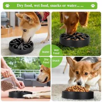 Pet Slow Feeder Dog Bowls for Healthy Eating Habits
