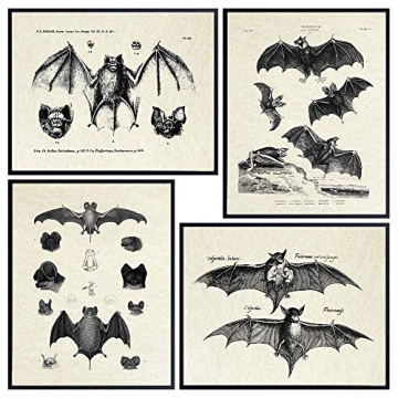 Vintage Bats Wall Art - Gothic Decor for Horror & Vampire Fans - 8x10 Prints