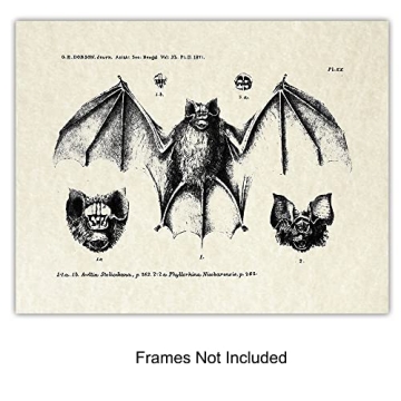 Vintage Bats Wall Art Gothic Decor Horror Vampire Fans 8x10 Prints