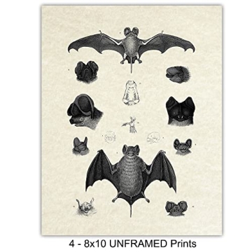Vintage Bats Wall Art Gothic Decor Horror Vampire Fans 8x10 Prints