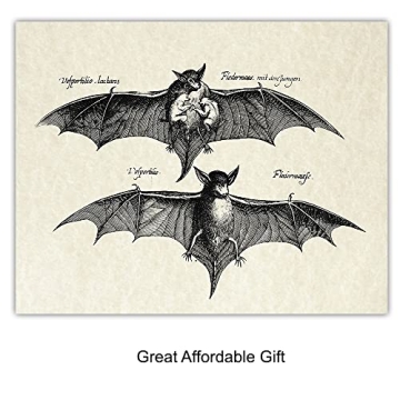Vintage Bats Wall Art Gothic Decor Horror Vampire Fans 8x10 Prints