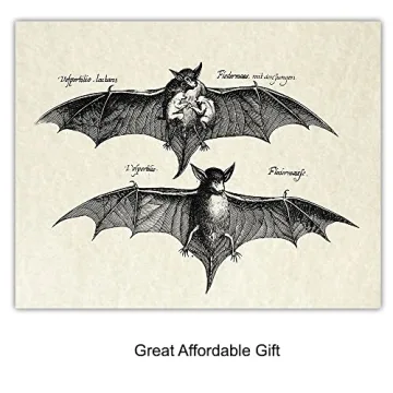 Vintage Bats Wall Art Gothic Decor Horror Vampire Fans 8x10 Prints