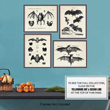 Vintage Bats Wall Art Gothic Decor Horror Vampire Fans 8x10 Prints
