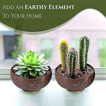 FACHIKO SUPERMOMS Coconut Bowl and Spoon Set – Sustainable and Organic Option for Smoothie Bowls, Acai, Buddha and Salad Bowls – Benefits the People and Our Planet While Promoting a Healthy Lifestyle