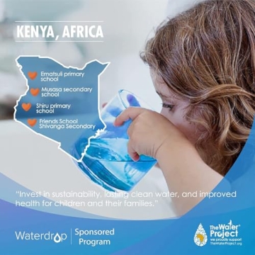 Affordable Waterdrop UKF8001 Refrigerator Water Filter