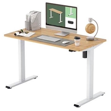 Flexispot Electric Adjustable Height Desk for All Ages