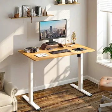 Flexispot Electric Adjustable Height Desk for All Ages