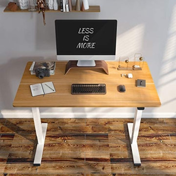 Flexispot Electric Adjustable Height Desk for All Ages