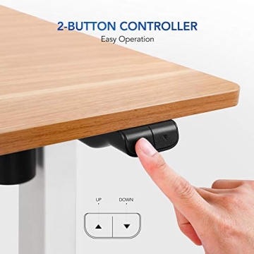 Flexispot Electric Adjustable Height Desk for All Ages