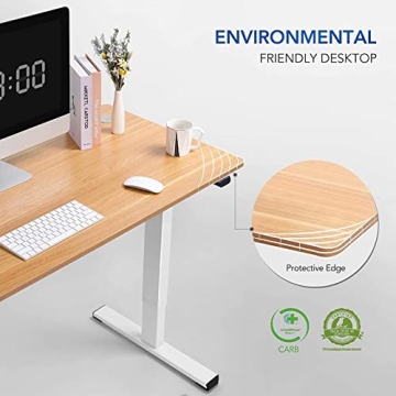 Flexispot Electric Adjustable Height Desk for All Ages