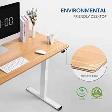 Flexispot Electric Adjustable Height Desk for All Ages
