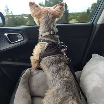 Utotol Dog Car Seats with Dog Seat Belt, Washable Dog Booster Pet Car Seat for Small Dogs, Anti-Slip...