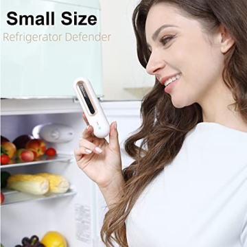 Portable USB Fridge Deodorizer Odor Eliminator
