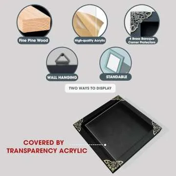 Framed Cicada Taxidermy Art | Unique Home Decor