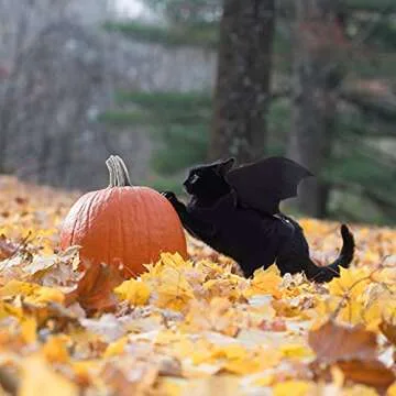 RYPET Bat Wings Pet Costume Perfect for Halloween