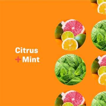 Everyone 3-in-1 Soap for Family Care, Citrus & Mint