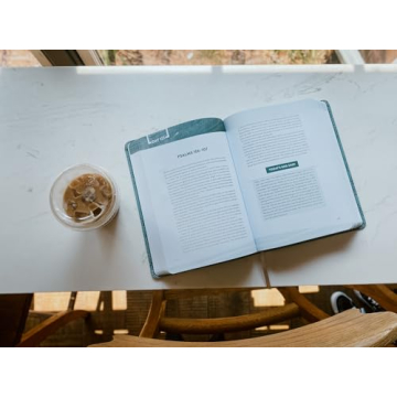 Transform Your Bible Reading with The Bible Recap Deluxe Edition