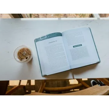 Transform Your Bible Reading with The Bible Recap Deluxe Edition