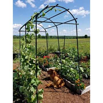 Gardener’s Extra Tall Garden Arch Arbor for Climbing Vines