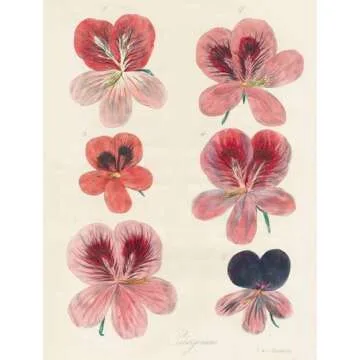 Artistic Wrapping Paper & Gift Tags from John Derian