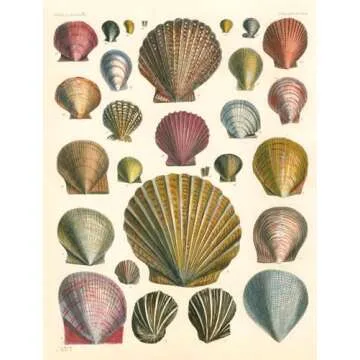 Artistic Wrapping Paper & Gift Tags from John Derian