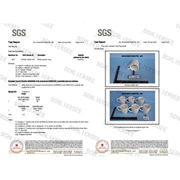 Schliersee 12 OZ White Ceramic Coffee Mugs set of 6, Stylish Embossed Coffee Cups Set for Coffee, Tea, Milk, Cocoa, Cereal