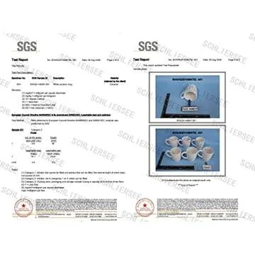 Schliersee 12 OZ White Ceramic Coffee Mugs set of 6, Stylish Embossed Coffee Cups Set for Coffee, Tea, Milk, Cocoa, Cereal