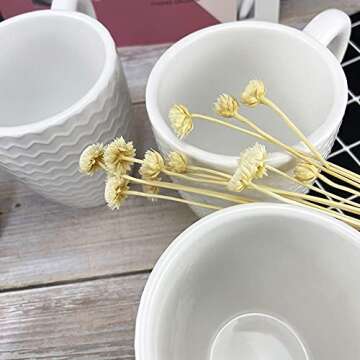 Schliersee 12 OZ White Ceramic Coffee Mugs set of 6, Stylish Embossed Coffee Cups Set for Coffee, Tea, Milk, Cocoa, Cereal