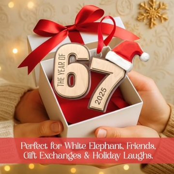 Funny 67 Christmas Ornament 2025 Trendy Holiday Gift