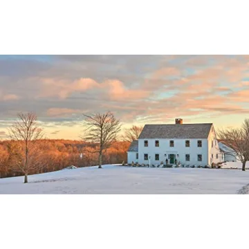 Preppy Kitchen Cookbook for Seasonal Cooking and Joy