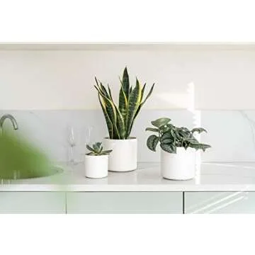 Stylish Mkono 6-Pack Plastic Plant Pots for All Indoor Plants