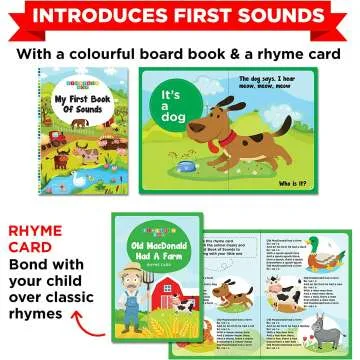 Einstein Box For 1 Year Olds