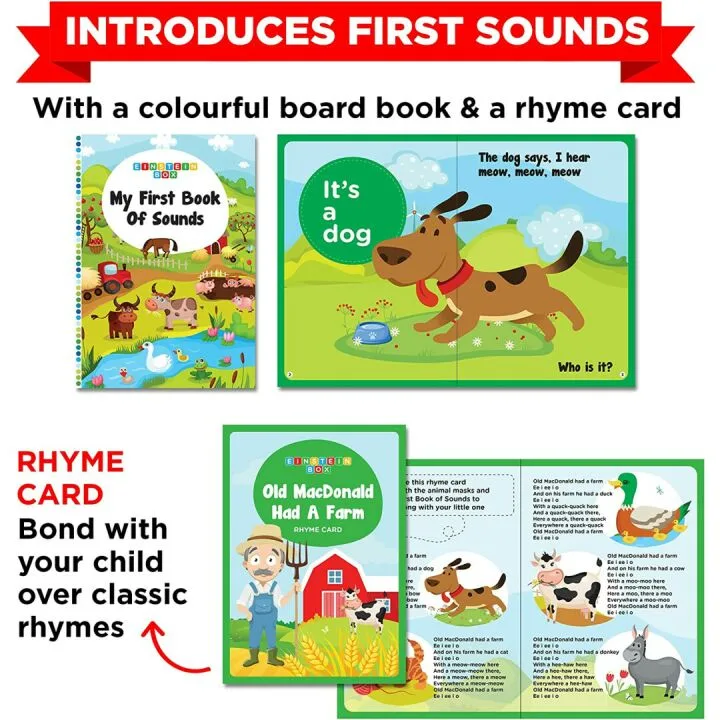 Einstein Box For 1 Year Olds