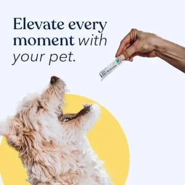 Honest Paws Probiotics for Dogs - Digestive & Immune Support Powder with Prebiotic Made in The USA, Chicken Flavor (30 Sticks)