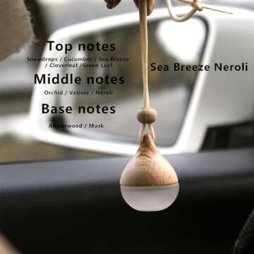 Aromagic Hanging Car Air Freshener,Sea Salt &Sage Car Hanging Fragrance Diffuser Essential Oil Diffu...