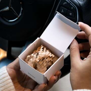 Aromagic Hanging Car Air Freshener,Sea Salt &Sage Car Hanging Fragrance Diffuser Essential Oil Diffuser,Perfume Aromatherapy Pendant Bottle Car Vials Refillable Oil (Sea Salt &Sage)