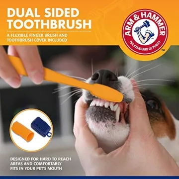 Arm & Hammer Dog Dental Kit Tartar Control Banana Mint