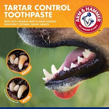 Arm & Hammer Dog Dental Kit Tartar Control Banana Mint