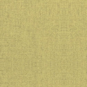 Armen Living Summer Chair in Green Fabric and Walnut Finish