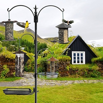 Ashman Premium Bird Feeding Station Kit for Garden