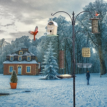 Ashman Premium Bird Feeding Station Kit for Garden