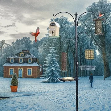 Ashman Premium Bird Feeding Station Kit for Garden