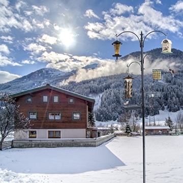 Ashman Premium Bird Feeding Station Kit for Garden